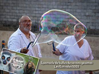 pairidaiza bulles